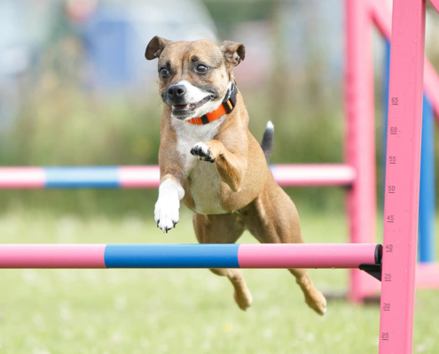 218288268_4516927804985482_7934609380669496675_n