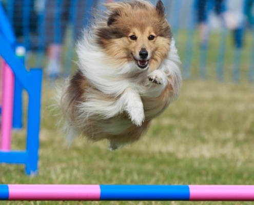 293621327_2684335241704109_2816218917581911206_n-2