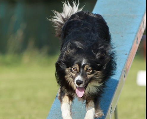 421830128_7545358512142381_509334355511742915_n