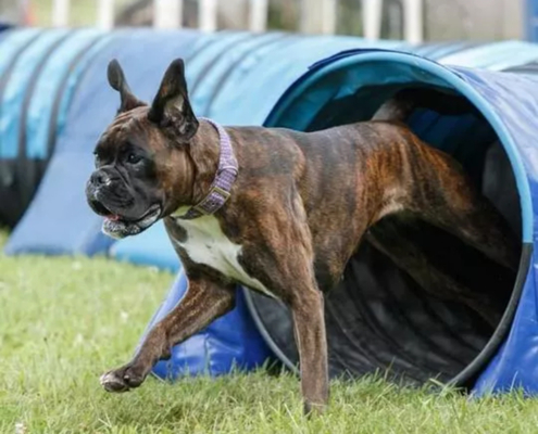 fb_img_1704318583738-copy